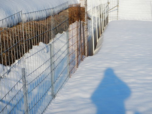 トタン板を使用した獣害柵は雪にも強い！