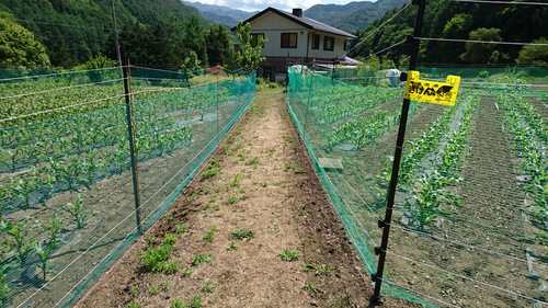 多獣種対応の電気柵のご紹介