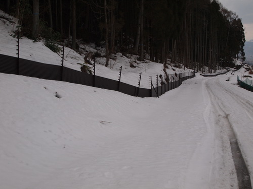 トタン板を使用した獣害柵は雪にも強い！