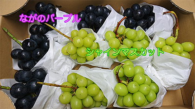 grape