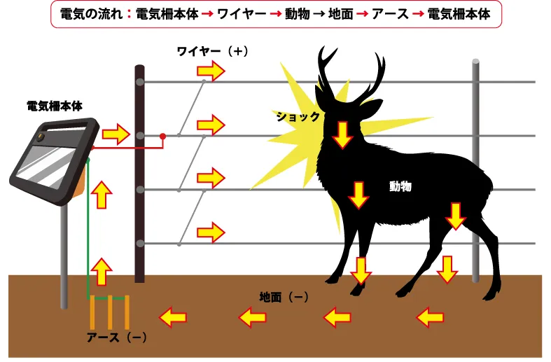 電気柵の基本的な設置方法と電気の流れ