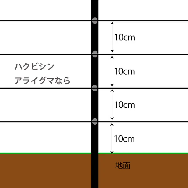 残りの支柱を設置しよう