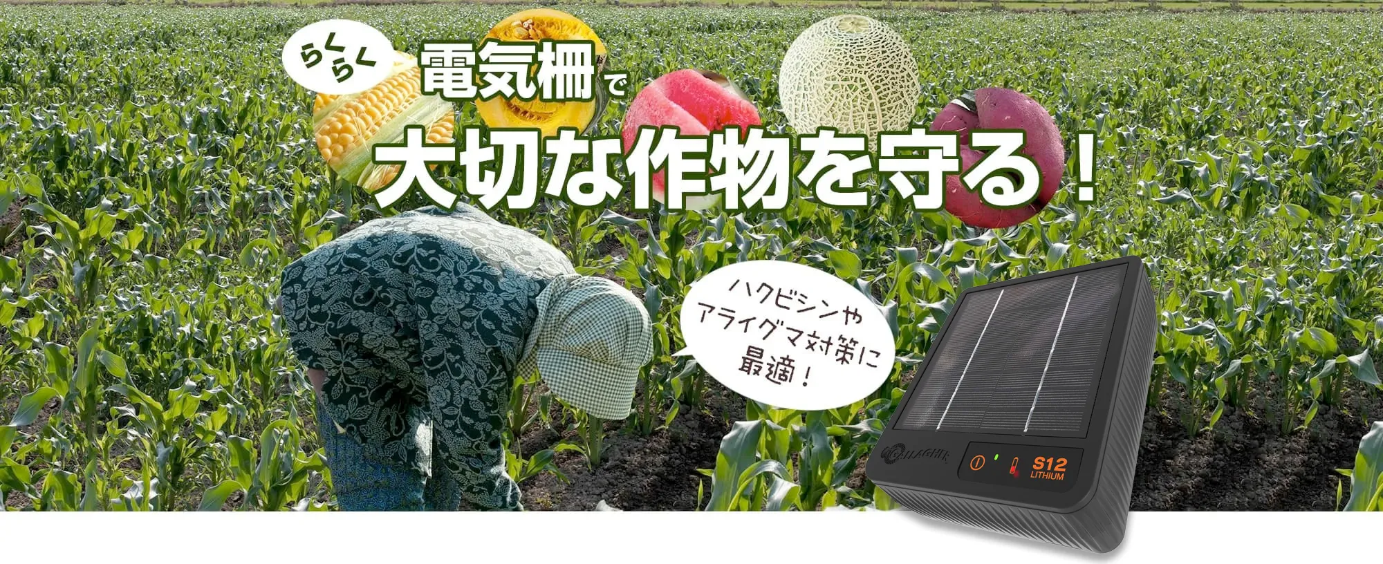 らくらく電気柵で作物を守る協和テクノの家庭菜園セット！電気柵50m4段張りでハクビシンやアライグマ対策に最適です