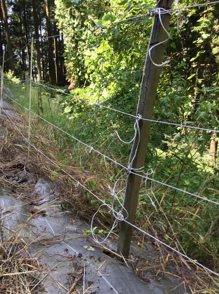 電気柵の漏電、ワイヤー処理