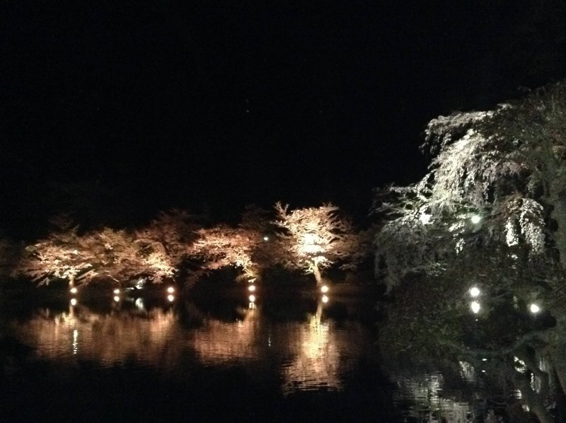 平成最後のお花見　@須坂市　臥竜公園