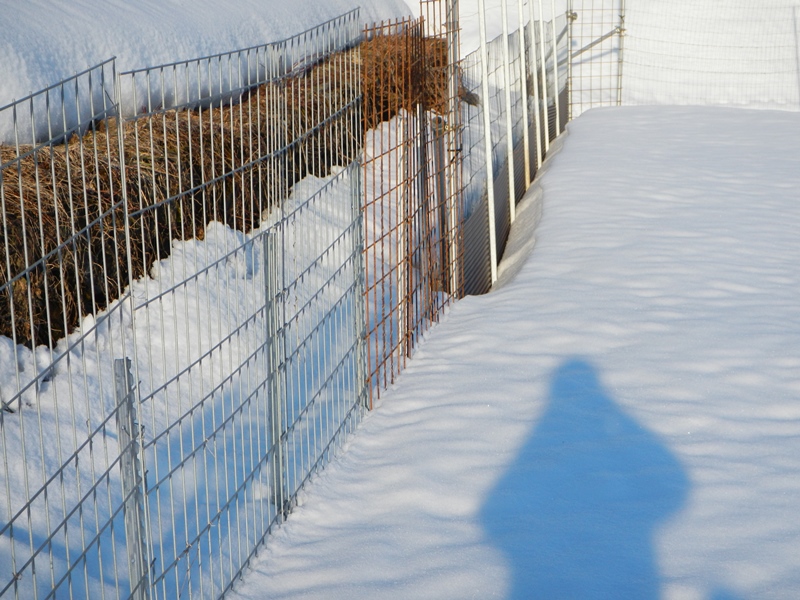 トタンとメッシュ　積雪比較