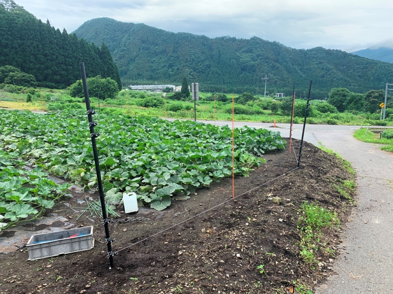 協和テクノ　長野式電気柵設置