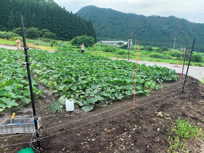 協和テクノ　長野式電気柵設置