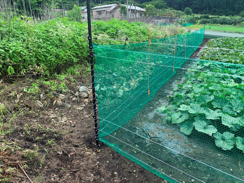 ネットを併用したで防除効果が高い「長野式電気柵」