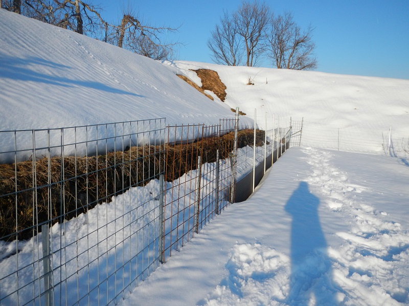 降雪時のトタンフェンス