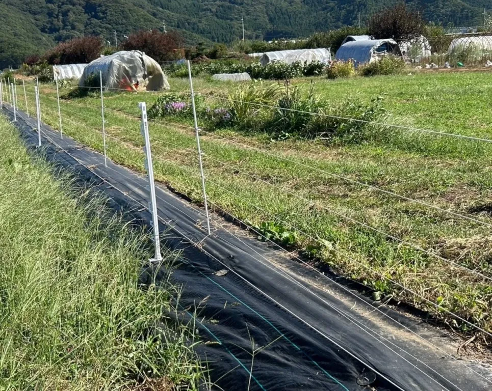 電気柵　2重柵